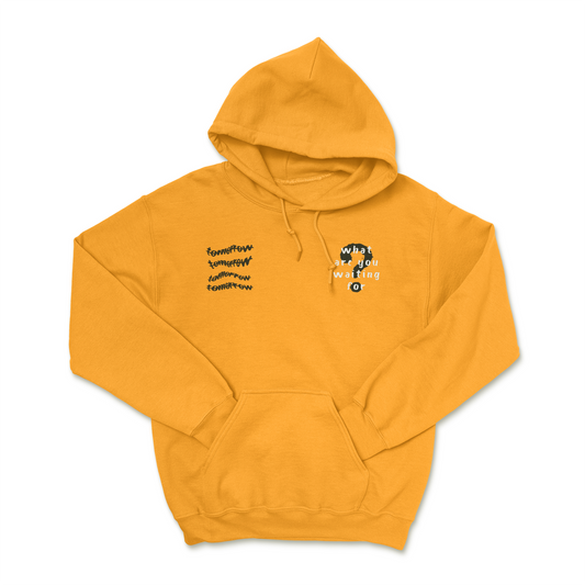 what are you waiting for? Hoodie